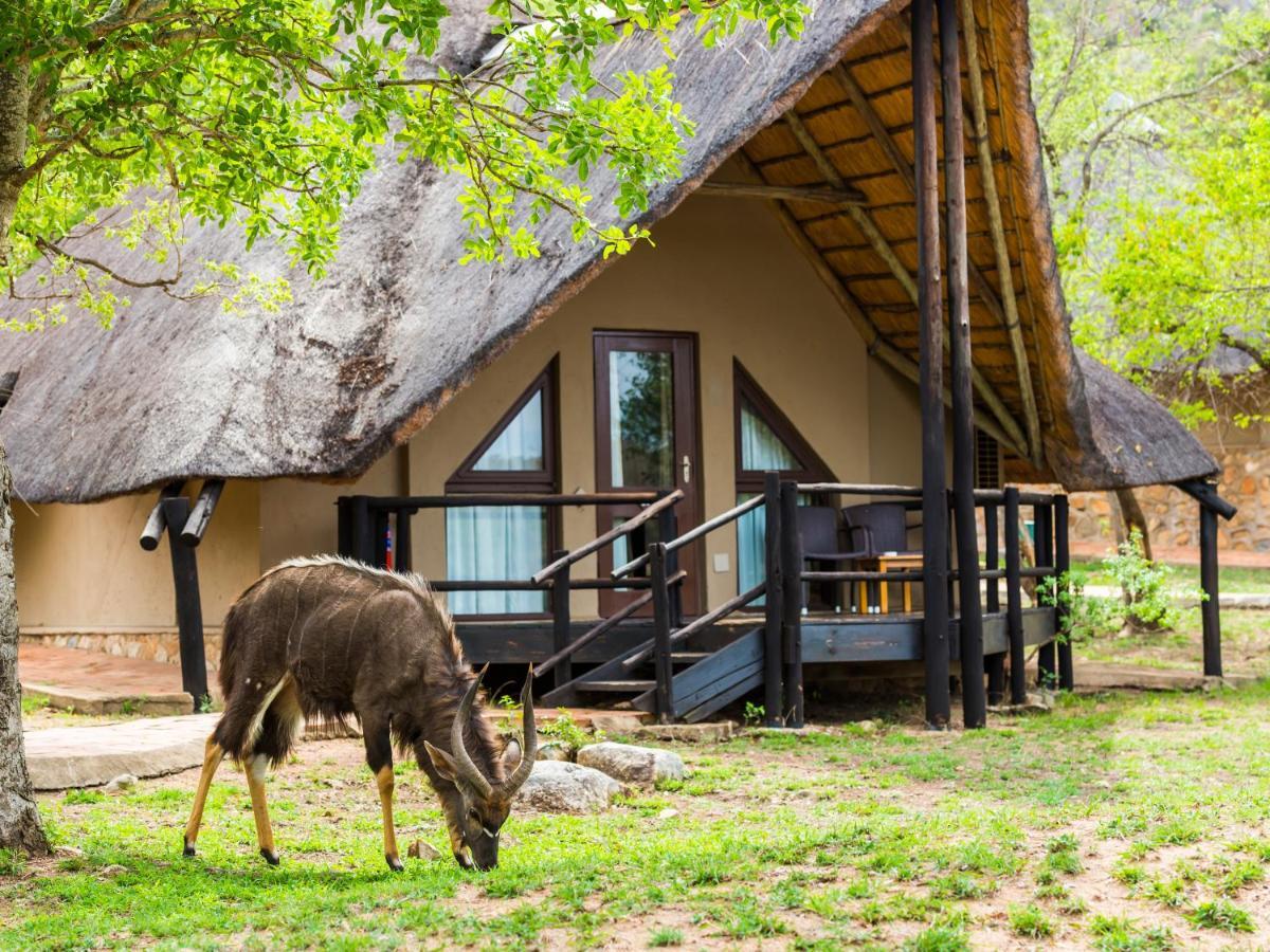 Aha Bongani Mountain Lodge Luphisi Exterior foto